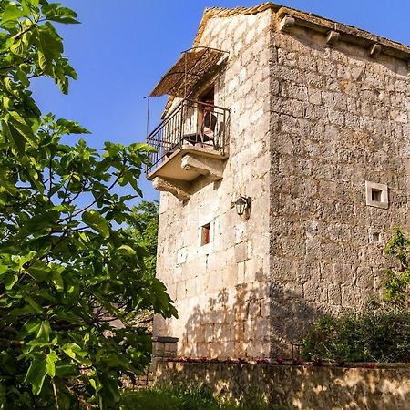 Old Small Stone House Zrnovo المظهر الخارجي الصورة