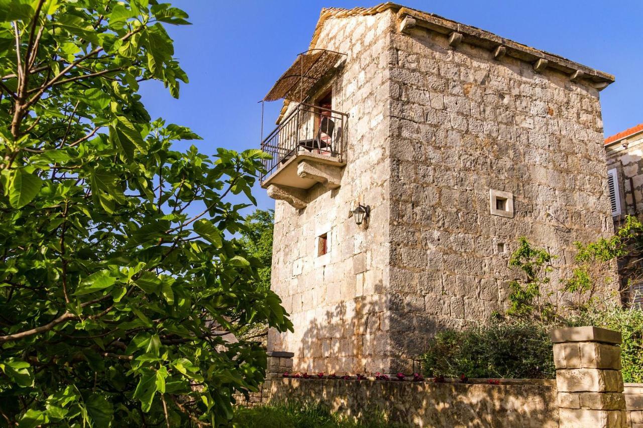 Old Small Stone House Zrnovo المظهر الخارجي الصورة