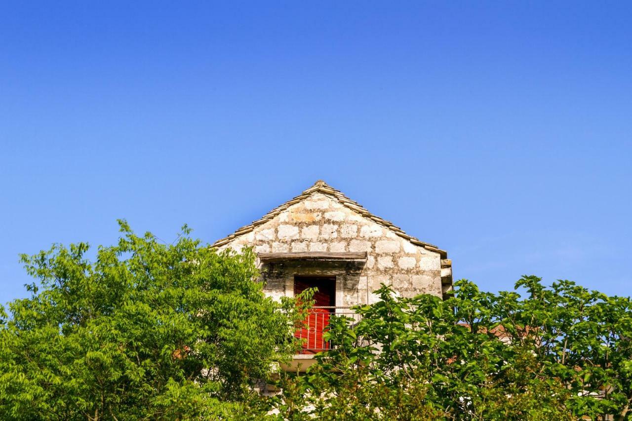 Old Small Stone House Zrnovo المظهر الخارجي الصورة