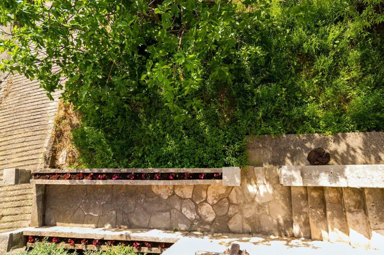 Old Small Stone House Zrnovo المظهر الخارجي الصورة